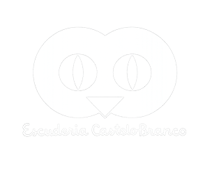 Escuderia Castelo Branco